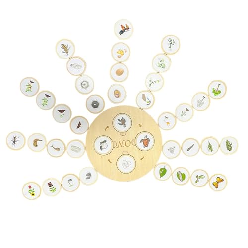 Zkydhbd Wachstumszyklus Demonstration Holz Puzzle Spielzeuglernen Lernhilfe Pädagogikspielzeug Für Kindergarten Kinder Kognition Vorschullernaktivität Zkydhbd Wachstumszyklus Demonstration Holz Puzzle Spielzeuglernen Lernhilfe Pädagogikspielzeug Für Kindergarten Kinder Kognition Vorschullernaktivität von Zkydhbd