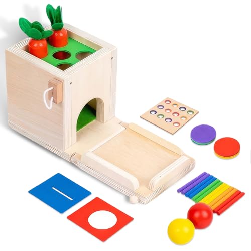 Zoelele Holzspielzeug, 4 in 1 Montessori Spielzeug, Motor Skills Spielzeug für Jungen und Mädchen, Thema für Object Permanence Box, Münzbox, Karottenernte, Colour Matching Sticks, Ball Drop von Zoelele