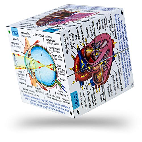 ZooBooKoo polnische Menschliches Körpersysteme und Statistiken Cubebook - ausklappbare Cube von ZooBooKoo