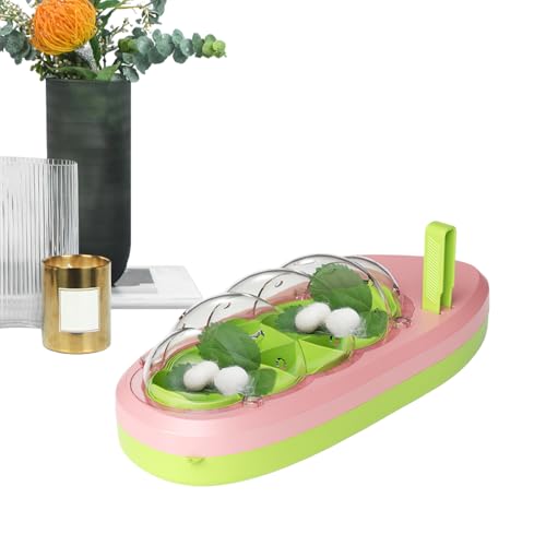 Seidenwurm Breeder Box - Transparenter atmungsaktiver Käfig zum Schlüpfen von Seidenraupen | Tierkäfig für Kinder, Jugendliche, Mädchen | Ideales Schulungswerkzeug für Lernen und von Zunetsutock