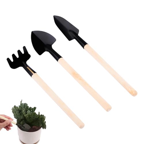 min Gartenwerkzeug-Set für den Innenbereich, Sukkulentenwerkzeug-Set, Rechenzange, Schaufel, Kakteen und Terrarien, Pflege Pflanzen, Präzisionsarbeit min Gartenwerkzeug-Set für den Innenbereich, Sukkulentenwerkzeug-Set, Rechenzange, Schaufel, Kakteen und Terrarien, Pflege Pflanzen, Präzisionsarbeit von Zunishaone