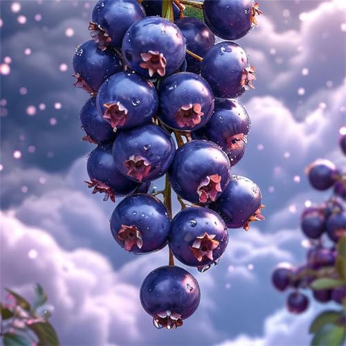 Puzzle 1000 Teile Blaubeer-Tauwolke,Puzzles für Erwachsene 1000 Teile EIN Herausforderndes Geschicklichkeitsspiel,DIY Puzzlespiele für Die Ganze Familie,Männer Frauen für Geschenk Puzzle 1000 Teile Blaubeer-Tauwolke,Puzzles für Erwachsene 1000 Teile EIN Herausforderndes Geschicklichkeitsspiel,DIY Puzzlespiele für Die Ganze Familie,Männer Frauen für Geschenk von Zuooyi