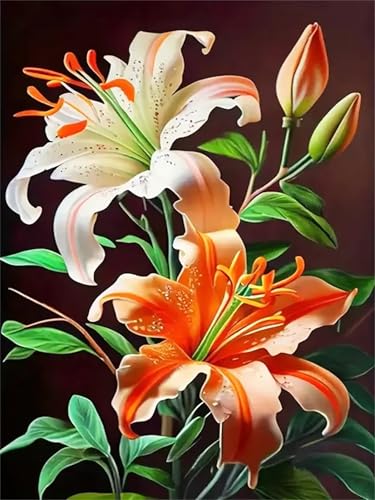Puzzle 1000 Teile Erwachsene,Frameless Schöne Lilie Puzzles für Lernspiel Herausforderungsspielzeug 1000 Teile Puzzles für Erwachsene Kinder Geschenk Moderne Wohnkultur von Zuooyi