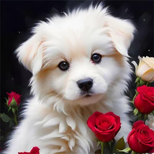 Puzzle 120 Teile Erwachsene 45x45cm Heckenrose,Jigsaw Puzzle Erwachsene 120 Teile Lernspiel Herausforderung Spielzeug,High Difficulty Impossible Puzzles für Home Dekoration Puzzle 120 Teile Erwachsene 45x45cm Heckenrose,Jigsaw Puzzle Erwachsene 120 Teile Lernspiel Herausforderung Spielzeug,High Difficulty Impossible Puzzles für Home Dekoration von Zuooyi