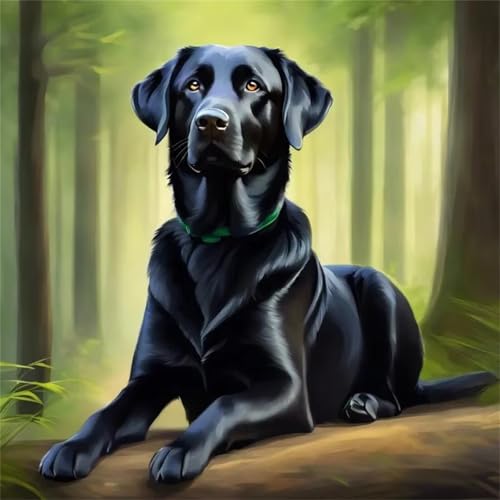 Puzzle 120 Teile Erwachsene 45x45cm Schwarzer Hundebaum,Jigsaw Puzzle Erwachsene 120 Teile Lernspiel Herausforderung Spielzeug,High Difficulty Impossible Puzzles für Home Dekoration Puzzle 120 Teile Erwachsene 45x45cm Schwarzer Hundebaum,Jigsaw Puzzle Erwachsene 120 Teile Lernspiel Herausforderung Spielzeug,High Difficulty Impossible Puzzles für Home Dekoration von Zuooyi