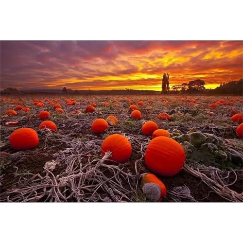 Puzzle 200 Teile Erwachsene,Frameless Kürbisbeet Puzzles für Lernspiel Herausforderungsspielzeug 200 Teile Puzzles für Erwachsene Kinder Geschenk Moderne Wohnkultur von Zuooyi