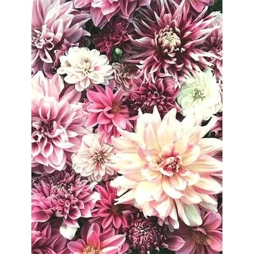 Puzzle 200 Teile Erwachsene,Frameless Lila Chrysantheme Puzzles für Lernspiel Herausforderungsspielzeug 200 Teile Puzzles für Erwachsene Kinder Geschenk Moderne Wohnkultur von Zuooyi