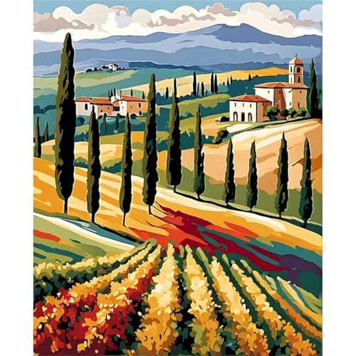 Puzzle 500 Teile Erwachsene,Framed Abstrakte Felder Puzzles für Lernspiel Herausforderungsspielzeug 500 Teile Puzzles für Erwachsene Kinder Geschenk Moderne Wohnkultur von Zuooyi