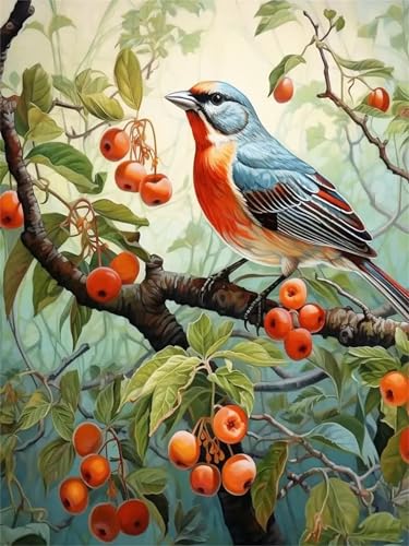 Puzzle 700 Teile Erwachsene,Frameless Obstvögel Puzzles für Lernspiel Herausforderungsspielzeug 700 Teile Puzzles für Erwachsene Kinder Geschenk Moderne Wohnkultur von Zuooyi