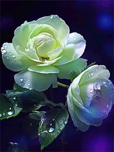 Puzzle 700 Teile Erwachsene,Frameless Weiße Blumen Puzzles für Lernspiel Herausforderungsspielzeug 700 Teile Puzzles für Erwachsene Kinder Geschenk Moderne Wohnkultur von Zuooyi