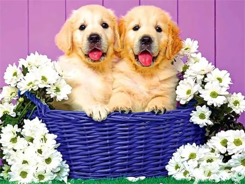 Puzzle Erwachsene 1000 Teile,Chrysanthemenhunde Puzzle Adults,Puzzles für Erwachsene Lernspiel Herausforderungsspielzeug für Gift Home Decor Framed Puzzle Erwachsene 1000 Teile,Chrysanthemenhunde Puzzle Adults,Puzzles für Erwachsene Lernspiel Herausforderungsspielzeug für Gift Home Decor Framed von Zuooyi