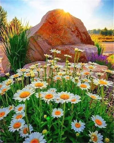 Puzzle Erwachsene 1000 Teile,Chrysanthemenstein Puzzle Adults,Puzzles für Erwachsene Lernspiel Herausforderungsspielzeug für Gift Home Decor Framed von Zuooyi