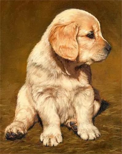Puzzle Erwachsene 1000 Teile,Hirtenhunde Puzzle Adults,Puzzles für Erwachsene Lernspiel Herausforderungsspielzeug für Gift Home Decor Frameless Puzzle Erwachsene 1000 Teile,Hirtenhunde Puzzle Adults,Puzzles für Erwachsene Lernspiel Herausforderungsspielzeug für Gift Home Decor Frameless von Zuooyi