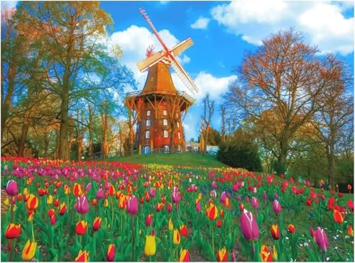 Puzzle Erwachsene 1000 Teile,Windmühlentulpen Puzzle Adults,Puzzles für Erwachsene Lernspiel Herausforderungsspielzeug für Gift Home Decor Framed Puzzle Erwachsene 1000 Teile,Windmühlentulpen Puzzle Adults,Puzzles für Erwachsene Lernspiel Herausforderungsspielzeug für Gift Home Decor Framed von Zuooyi