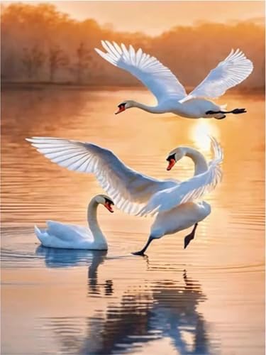 Puzzle Erwachsene 1500 Teile,Gänsesee Puzzle Adults,Puzzles für Erwachsene Lernspiel Herausforderungsspielzeug für Gift Home Decor Frameless Puzzle Erwachsene 1500 Teile,Gänsesee Puzzle Adults,Puzzles für Erwachsene Lernspiel Herausforderungsspielzeug für Gift Home Decor Frameless von Zuooyi