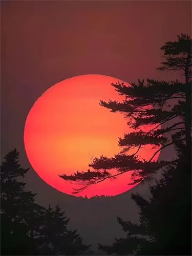 Puzzle Erwachsene 1500 Teile,Sonnenaufgangsansicht Puzzle Adults,Puzzles für Erwachsene Lernspiel Herausforderungsspielzeug für Gift Home Decor Frameless Puzzle Erwachsene 1500 Teile,Sonnenaufgangsansicht Puzzle Adults,Puzzles für Erwachsene Lernspiel Herausforderungsspielzeug für Gift Home Decor Frameless von Zuooyi