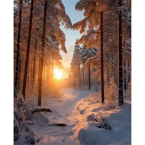 Puzzle Erwachsene 1500 Teile,Winterschneeszene Puzzle Adults,Puzzles für Erwachsene Lernspiel Herausforderungsspielzeug für Gift Home Decor Frameless Puzzle Erwachsene 1500 Teile,Winterschneeszene Puzzle Adults,Puzzles für Erwachsene Lernspiel Herausforderungsspielzeug für Gift Home Decor Frameless von Zuooyi