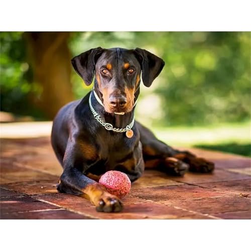 Puzzle Erwachsene 200 Teile,Hundeball Puzzle Adults,Puzzles für Erwachsene Lernspiel Herausforderungsspielzeug für Gift Home Decor Frameless Puzzle Erwachsene 200 Teile,Hundeball Puzzle Adults,Puzzles für Erwachsene Lernspiel Herausforderungsspielzeug für Gift Home Decor Frameless von Zuooyi