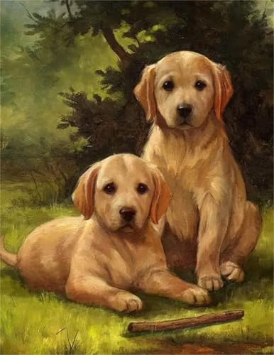Puzzle Erwachsene 300 Teile,Hundegras Puzzle Adults,Puzzles für Erwachsene Lernspiel Herausforderungsspielzeug für Gift Home Decor Frameless Puzzle Erwachsene 300 Teile,Hundegras Puzzle Adults,Puzzles für Erwachsene Lernspiel Herausforderungsspielzeug für Gift Home Decor Frameless von Zuooyi