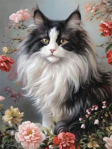 Puzzle Erwachsene 300 Teile,Katzenblume Puzzle Adults,Puzzles für Erwachsene Lernspiel Herausforderungsspielzeug für Gift Home Decor Framed Puzzle Erwachsene 300 Teile,Katzenblume Puzzle Adults,Puzzles für Erwachsene Lernspiel Herausforderungsspielzeug für Gift Home Decor Framed von Zuooyi