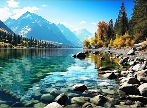 Puzzle Erwachsene 300 Teile,Waldfelsen Puzzle Adults,Puzzles für Erwachsene Lernspiel Herausforderungsspielzeug für Gift Home Decor Framed Puzzle Erwachsene 300 Teile,Waldfelsen Puzzle Adults,Puzzles für Erwachsene Lernspiel Herausforderungsspielzeug für Gift Home Decor Framed von Zuooyi