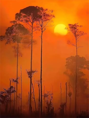 Puzzle Erwachsene 500 Teile,Baumnebel Puzzle Adults,Puzzles für Erwachsene Lernspiel Herausforderungsspielzeug für Gift Home Decor Frameless von Zuooyi