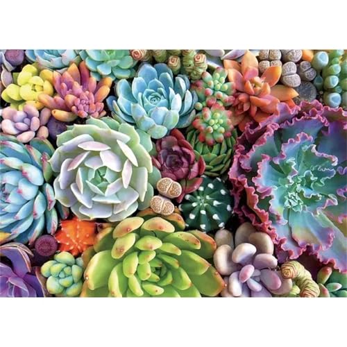 Puzzle Erwachsene 500 Teile,Die Sukkulenten Puzzle Adults,Puzzles für Erwachsene Lernspiel Herausforderungsspielzeug für Gift Home Decor Framed Puzzle Erwachsene 500 Teile,Die Sukkulenten Puzzle Adults,Puzzles für Erwachsene Lernspiel Herausforderungsspielzeug für Gift Home Decor Framed von Zuooyi