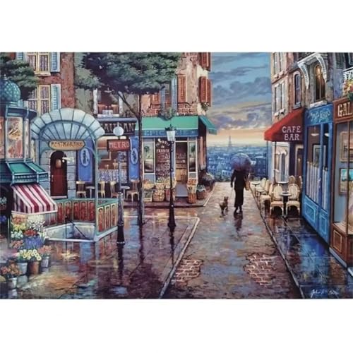 Puzzle Erwachsene 500 Teile,Romantische Stadt Puzzle Adults,Puzzles für Erwachsene Lernspiel Herausforderungsspielzeug für Gift Home Decor Frameless von Zuooyi