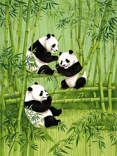 Puzzle Erwachsene 700 Teile,Bambuspanda Puzzle Adults,Puzzles für Erwachsene Lernspiel Herausforderungsspielzeug für Gift Home Decor Framed von Zuooyi