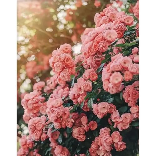 Puzzle Erwachsene 700 Teile,Blumenlandschaft Puzzle Adults,Puzzles für Erwachsene Lernspiel Herausforderungsspielzeug für Gift Home Decor Framed Puzzle Erwachsene 700 Teile,Blumenlandschaft Puzzle Adults,Puzzles für Erwachsene Lernspiel Herausforderungsspielzeug für Gift Home Decor Framed von Zuooyi
