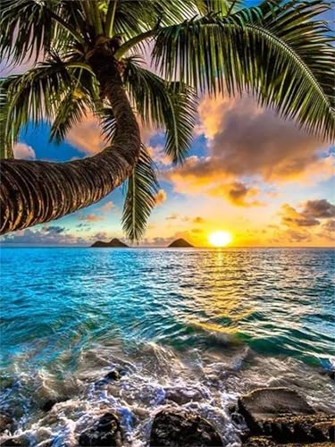 Puzzle Erwachsene 700 Teile,Sonnenuntergang Kokosnussbaum Puzzle Adults,Puzzles für Erwachsene Lernspiel Herausforderungsspielzeug für Gift Home Decor Frameless von Zuooyi