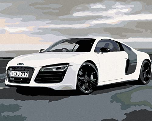 Zuty 346191, Malen nach Zahlen-Audi 40x50 cm mit Keilrahmen (bereits gespannt) von Zuty