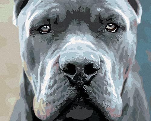 Zuty 564232, Malen nach Zahlen-Cane Corso 80x100 cm ohne Keilrahmen Zuty 564232, Malen nach Zahlen-Cane Corso 80x100 cm ohne Keilrahmen von Zuty