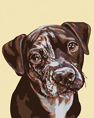 Zuty 668190, Malen nach Zahlen-GEFLECKTER HUNDEWELPE 40x50 cm ohne Keilrahmen Zuty 668190, Malen nach Zahlen-GEFLECKTER HUNDEWELPE 40x50 cm ohne Keilrahmen von Zuty