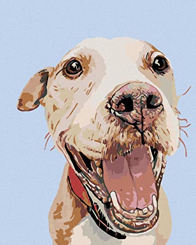 Zuty 748230, Malen nach Zahlen-GLÜCKLICHER KÖTER 40x50 cm ohne Keilrahmen Zuty 748230, Malen nach Zahlen-GLÜCKLICHER KÖTER 40x50 cm ohne Keilrahmen von Zuty