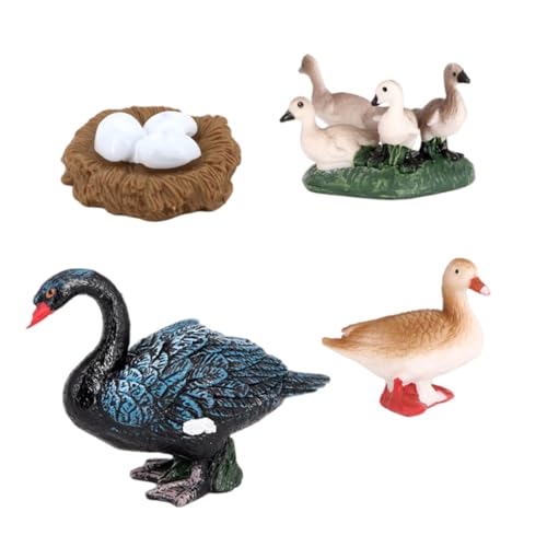 Zymoplas 1 Set Lebenszyklusfiguren Premium Gänse Wachstumsmodell Frühe Lerntiere Spielzeug Schulprojekt für Kinder Kleinkinder Zymoplas 1 Set Lebenszyklusfiguren Premium Gänse Wachstumsmodell Frühe Lerntiere Spielzeug Schulprojekt für Kinder Kleinkinder von Zymoplas