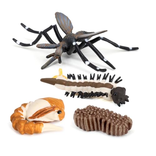 Zymoplas 1 Set Mosquito Model Home Exquisite Einfache Interessante Pädagogische Requisite Moskitos Spielzeug Lebenszyklus Spielzeug für die Schule Zymoplas 1 Set Mosquito Model Home Exquisite Einfache Interessante Pädagogische Requisite Moskitos Spielzeug Lebenszyklus Spielzeug für die Schule von Zymoplas