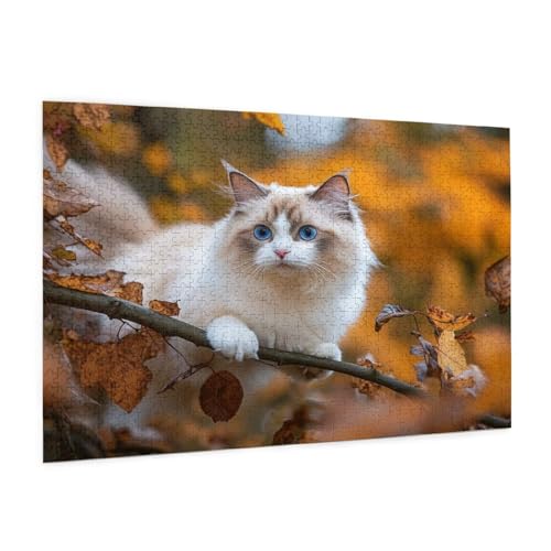 Katze Puzzle 1000 Teile Erwachsene Puzzle Landschaft Muster Design mit Geschenkbox-Verpackung als Geschenk für Frauen, Anspruchsvolle Familienaktivität für Anfänger, Zimmer Deko 75 x 50 cm -889y von Zyupwjyy
