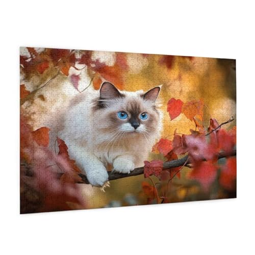 Katze Puzzle 2000 Teile Erwachsene Puzzle Fallen Muster Design mit Geschenkbox-Verpackung als Geschenk für Frauen, Anspruchsvolle Familienaktivität für Anfänger, Zimmer Deko 99 x 70 cm -2121y von Zyupwjyy