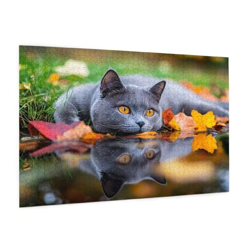 Katze Puzzle 2000 Teile Erwachsene Puzzle Invertiertes Bild Muster Design mit Geschenkbox-Verpackung als Geschenk für Frauen, Anspruchsvolle Familienaktivität für Anfänger,Zimmer Deko 99x70 cm -2078y von Zyupwjyy