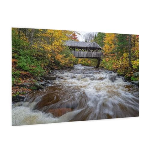 Landschaft Puzzle 1000 Teile Erwachsene Puzzle Wasserfall Muster Design mit Geschenkbox-Verpackung als Geschenk für Frauen, Anspruchsvolle Familienaktivität für Anfänger, Zimmer Deko 75 x 50 cm -280y von Zyupwjyy