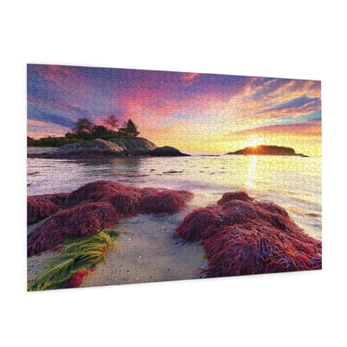 Meer Puzzle 300 Teile Erwachsene Puzzle Strand Muster Design mit Geschenkbox-Verpackung als Geschenk für Frauen, Anspruchsvolle Familienaktivität für Erwachsene Anfänger,Zimmer Deko 40 x 28 cm -1589y Meer Puzzle 300 Teile Erwachsene Puzzle Strand Muster Design mit Geschenkbox-Verpackung als Geschenk für Frauen, Anspruchsvolle Familienaktivität für Erwachsene Anfänger,Zimmer Deko 40 x 28 cm -1589y von Zyupwjyy