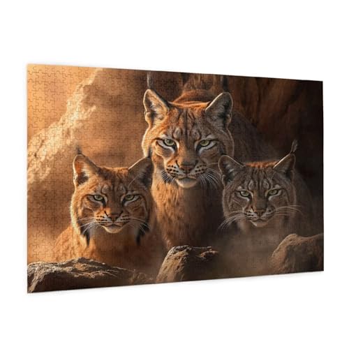 Puzzle Tier Puzzle 6000 Teile Tiger Puzzles Erwachsene mit Geschenkbox, DIY Groß Holzpuzzle für Erwachsene, Geschicklichkeitsspiel für Die Ganze Familie Geschenke für Frauen 105 x 180 cm -1354y Puzzle Tier Puzzle 6000 Teile Tiger Puzzles Erwachsene mit Geschenkbox, DIY Groß Holzpuzzle für Erwachsene, Geschicklichkeitsspiel für Die Ganze Familie Geschenke für Frauen 105 x 180 cm -1354y von Zyupwjyy