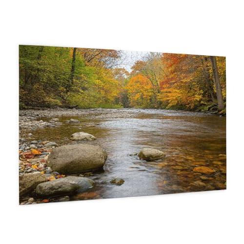 Puzzle Wald Puzzle 500 Teile Fluss Puzzles Erwachsene mit Geschenkbox, DIY Groß Holzpuzzle für Erwachsene,Geschicklichkeitsspiel für Die Ganze Familie Geschenke für Frauen, Puzzlegröße 52 x 38 cm -79y Puzzle Wald Puzzle 500 Teile Fluss Puzzles Erwachsene mit Geschenkbox, DIY Groß Holzpuzzle für Erwachsene,Geschicklichkeitsspiel für Die Ganze Familie Geschenke für Frauen, Puzzlegröße 52 x 38 cm -79y von Zyupwjyy