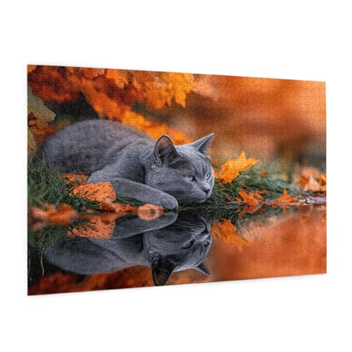 Tier Puzzle 300 Teile Erwachsene Puzzle Landschaft Muster Design mit Geschenkbox-Verpackung als Geschenk für Frauen, Anspruchsvolle Familienaktivität für Anfänger, Zimmer Deko 40 x 28 cm -855y Tier Puzzle 300 Teile Erwachsene Puzzle Landschaft Muster Design mit Geschenkbox-Verpackung als Geschenk für Frauen, Anspruchsvolle Familienaktivität für Anfänger, Zimmer Deko 40 x 28 cm -855y von Zyupwjyy