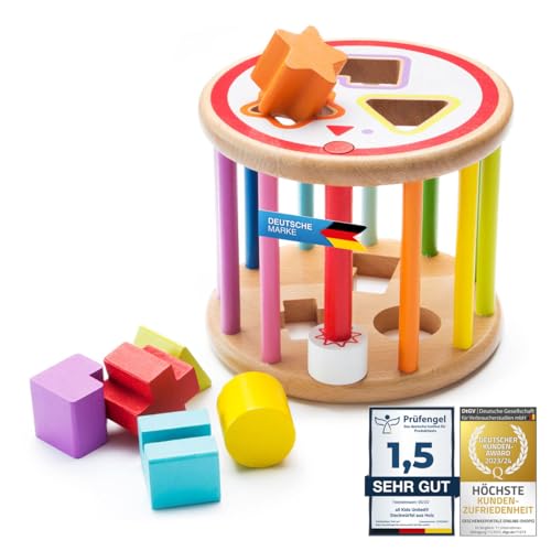 all Kids United Baby Lernspielzeug Sortierspiel aus Holz Formenrolle Sortierwürfel Holzspielzeug Sortierbox; Bunter Steckwürfel mit 2 Schwierigkeitsgraden von all Kids United