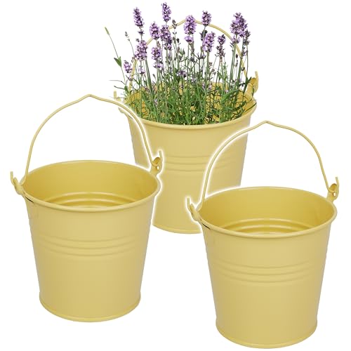 5 Stück kleine - Metalleimer/Blumentöpfe - beige/hell braun/Creme - 15 cm hoch - 2 Liter - Metall rostfrei - Blech Eimer - rund - mit 3-D Effekt Rille.. von alles-meine.de GmbH