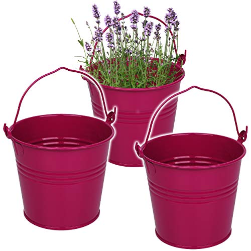 5 Stück kleine - Metalleimer/Blumentöpfe - pink/Purpur/violett/rosa - lila - 15 cm hoch - 2 Liter - Metall rostfrei - Blech Eimer - rund - mit 3-D E.. von alles-meine.de GmbH