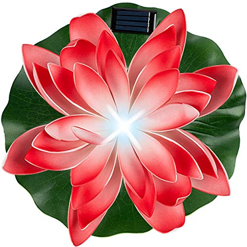 alles-meine.de GmbH 2 Stück Solar - LED Lichter - schwimmende Seerose - rot & weiß - Ø 29 cm - Leuchte - Blume Blüte - Solarblume - Garten Wetterfest für Innen Außen - Wasser -.. alles-meine.de GmbH 2 Stück Solar - LED Lichter - schwimmende Seerose - rot & weiß - Ø 29 cm - Leuchte - Blume Blüte - Solarblume - Garten Wetterfest für Innen Außen - Wasser -.. von alles-meine.de GmbH