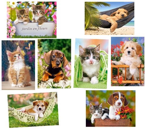 alles-meine.de GmbH 2 Stück: Mini Puzzle/Minipuzzle 120 Teile - Tiere/Tierkinder - für Kinder Kinderpuzzle Minipuzzles Hund Katze Katzen Tier Bauernhoftiere von alles-meine.de GmbH
